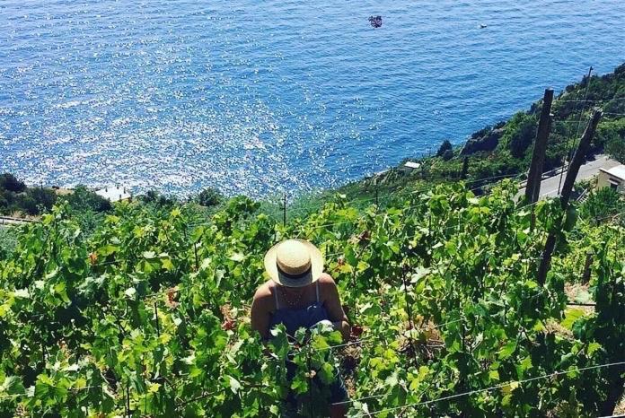 Refuge Uwabio Organic Vineyard Cinqueterre Villa Рио Маджоре Екстериор снимка