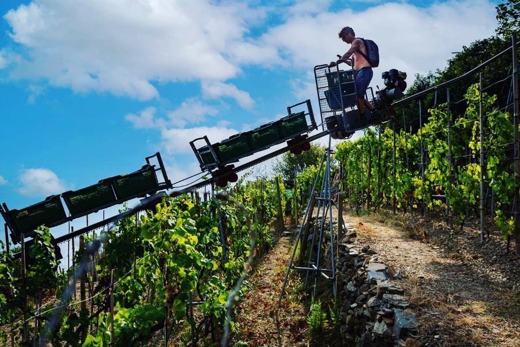 Refuge Uwabio Organic Vineyard Cinqueterre Villa Рио Маджоре Екстериор снимка