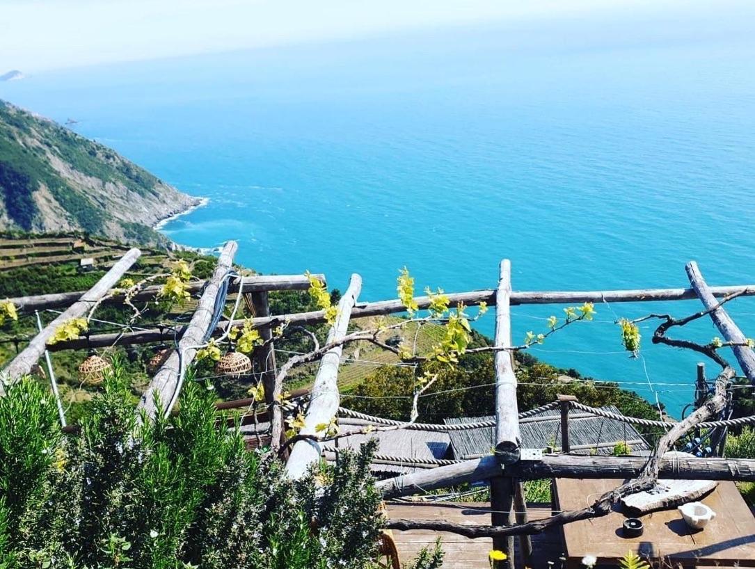 Refuge Uwabio Organic Vineyard Cinqueterre Villa Рио Маджоре Екстериор снимка